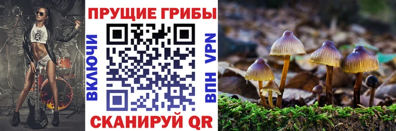 Псилоцибиновые грибы прущие грибы  дарк нет Telegram  Воркута 